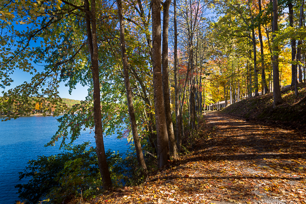 Things To Do - Los Lagos at Hot Springs Village