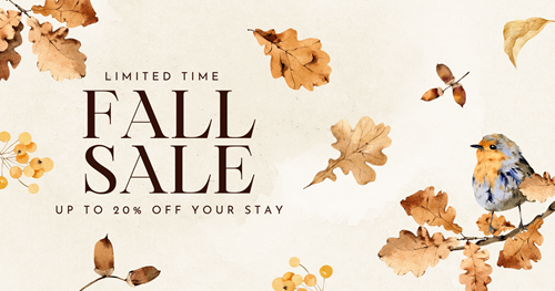 20% Off Fall Promo Photo